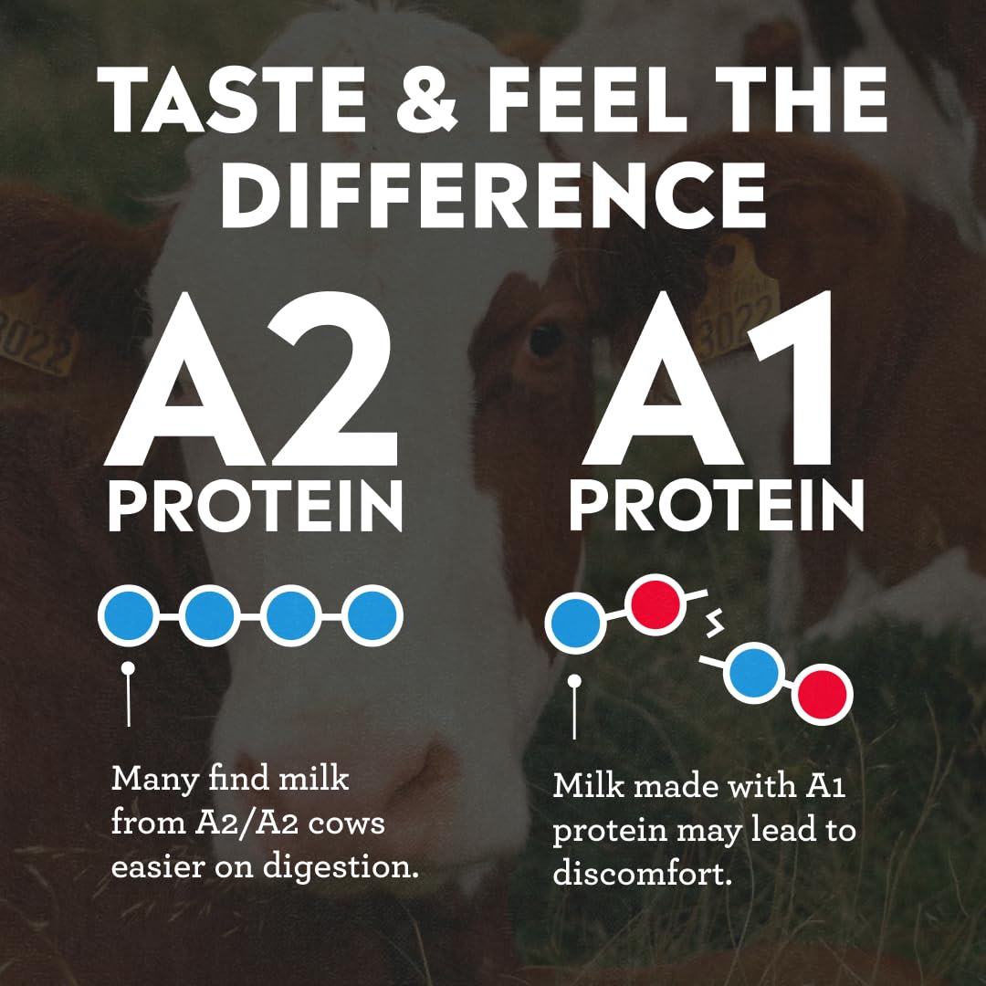 Pioneer Pastures Protein A2 Milkshakes, Strawberries & Cream, 11oz, 12 Pack | A2 Protein Shake, 30g Protein, Ultra-Filtered, Lactose Free, 2g Sugar, No Seed Oils, No Artificial Sweeteners